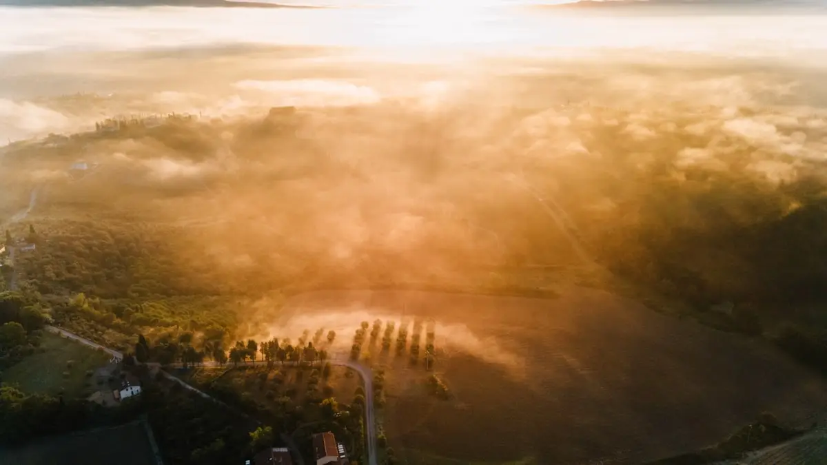 Amanecer dorado sobre campo en la pampa